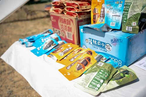 洽洽阿勒泰葵花節 全產業鏈溯源之旅，聯農帶農助農增收，融合乳制品創新