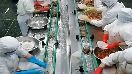 罐頭水果 健康與否，解碼食品廠的“魔法”加工過程
