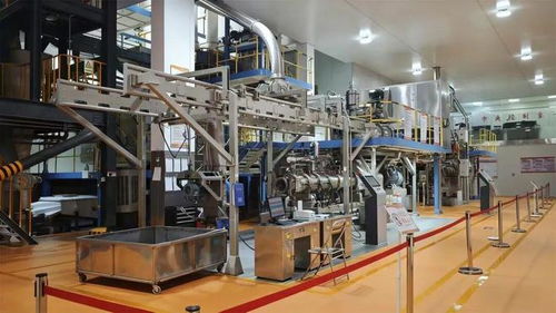 從代工廠到品牌賦能者 揭秘寵物食品界的隱形冠軍